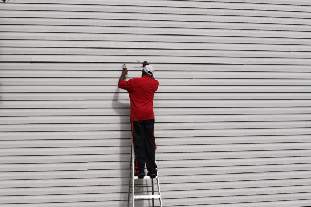Best Wood Siding Installation  in Chase City, VA